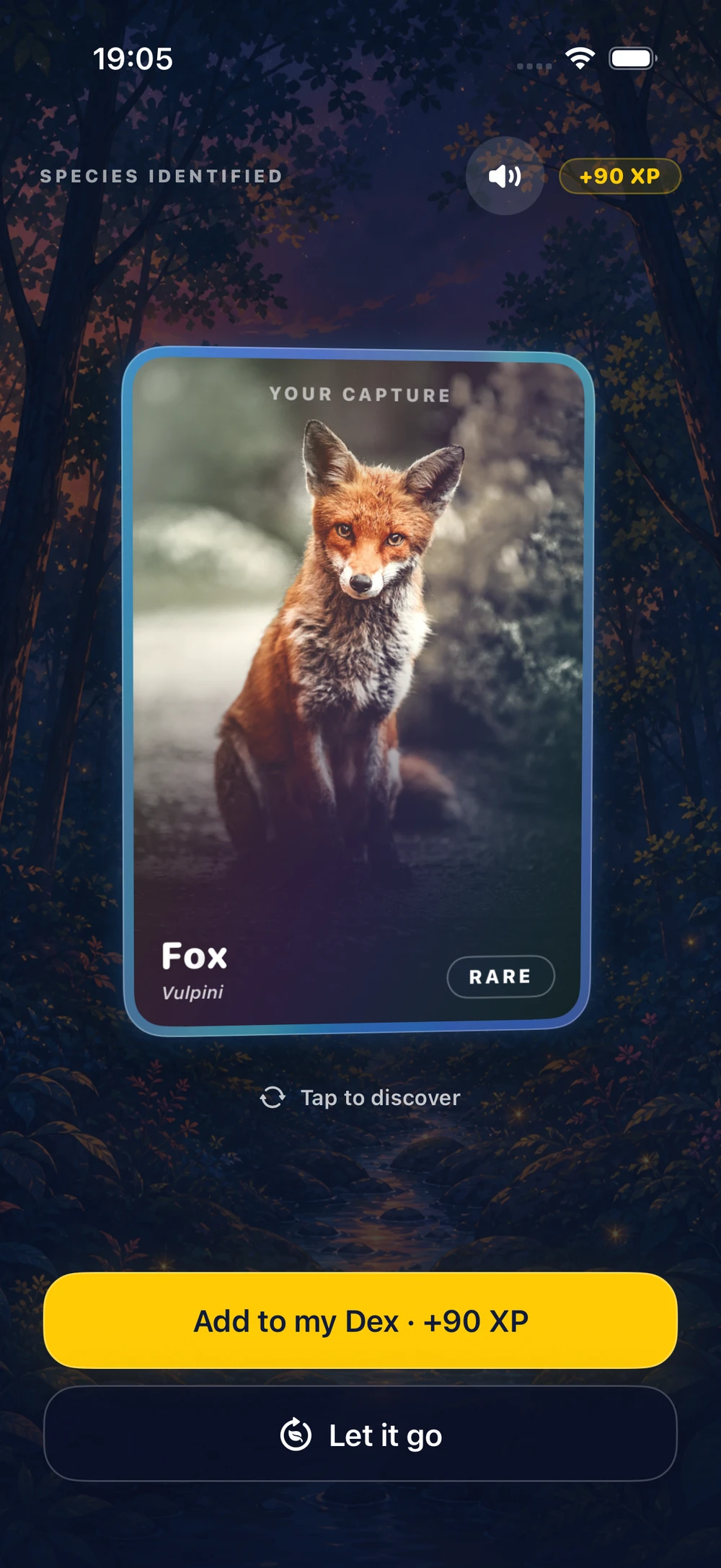 AnimalDex — An encounter, a new card