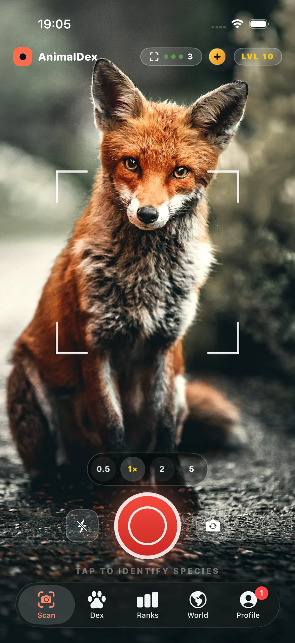 AnimalDex — Start with a photo